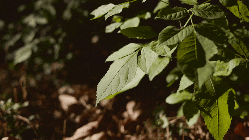 Two women sitting at a modern table talking with a city view behind them.